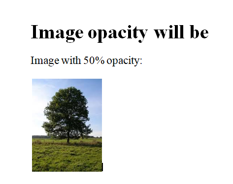 CSS Background Opacity | Transparency - Developer Helps